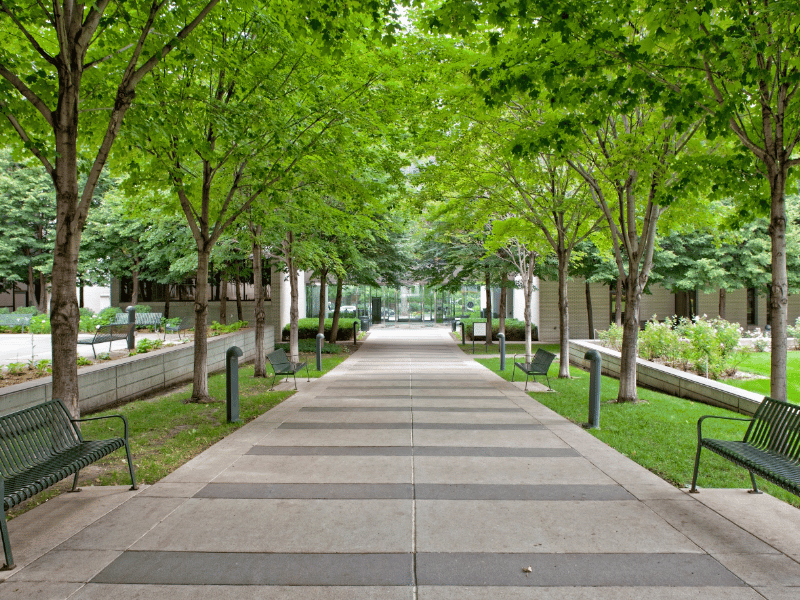 concrete sidewalks